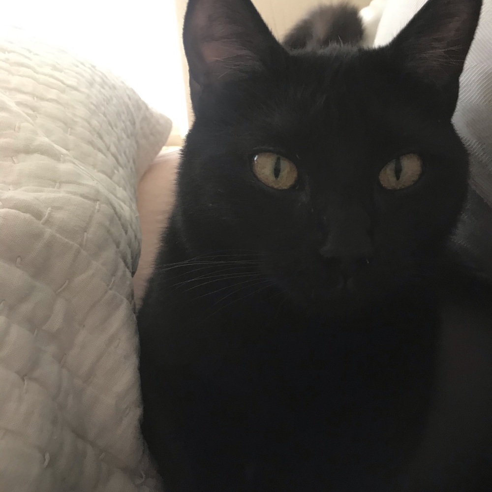 Meet your Posher, Wendy